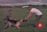Image of 88th Military Police Corps Vietnam, 1965, second 16 stock footage video 65675061960