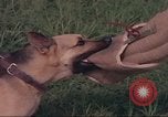 Image of 88th Military Police Corps Vietnam, 1965, second 17 stock footage video 65675061960