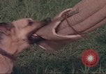Image of 88th Military Police Corps Vietnam, 1965, second 18 stock footage video 65675061960