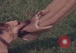 Image of 88th Military Police Corps Vietnam, 1965, second 22 stock footage video 65675061960
