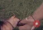 Image of 88th Military Police Corps Vietnam, 1965, second 25 stock footage video 65675061960