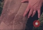 Image of 88th Military Police Corps Vietnam, 1965, second 38 stock footage video 65675061960