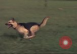 Image of 88th Military Police Corps Vietnam, 1965, second 36 stock footage video 65675061961