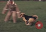 Image of 88th Military Police Corps Vietnam, 1965, second 37 stock footage video 65675061961