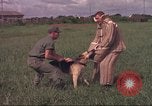 Image of 88th Military Police Corps Vietnam, 1965, second 44 stock footage video 65675061961