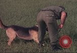 Image of 88th Military Police Corps Vietnam, 1965, second 47 stock footage video 65675061961