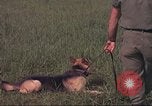 Image of 88th Military Police Corps Vietnam, 1965, second 49 stock footage video 65675061961