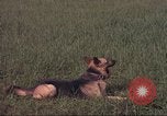 Image of 88th Military Police Corps Vietnam, 1965, second 50 stock footage video 65675061961