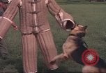 Image of 88th Military Police Corps Vietnam, 1965, second 58 stock footage video 65675061961