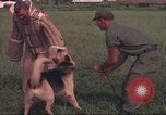 Image of 88th Military Police Corps Vietnam, 1965, second 61 stock footage video 65675061961