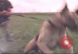 Immagine di 88 Corpo militare di polizia Il Vietnam, 1965, secondo 1 filmato di repertorio 65675061962