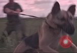 Immagine di 88 Corpo militare di polizia Il Vietnam, 1965, secondo 6 filmato di repertorio 65675061962