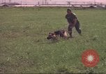 Immagine di 88 Corpo militare di polizia Il Vietnam, 1965, secondo 9 filmato di repertorio 65675061962