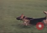 Immagine di 88 Corpo militare di polizia Il Vietnam, 1965, secondo 11 filmato di repertorio 65675061962