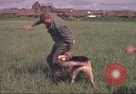 Immagine di 88 Corpo militare di polizia Il Vietnam, 1965, secondo 12 filmato di repertorio 65675061962