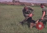 Immagine di 88 Corpo militare di polizia Il Vietnam, 1965, secondo 13 filmato di repertorio 65675061962