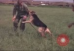Immagine di 88 Corpo militare di polizia Il Vietnam, 1965, secondo 14 filmato di repertorio 65675061962