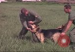 Immagine di 88 Corpo militare di polizia Il Vietnam, 1965, secondo 19 filmato di repertorio 65675061962