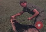 Immagine di 88 Corpo militare di polizia Il Vietnam, 1965, secondo 20 filmato di repertorio 65675061962