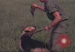 Immagine di 88 Corpo militare di polizia Il Vietnam, 1965, secondo 21 filmato di repertorio 65675061962