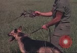 Immagine di 88 Corpo militare di polizia Il Vietnam, 1965, secondo 22 filmato di repertorio 65675061962