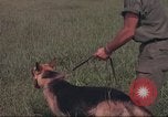 Immagine di 88 Corpo militare di polizia Il Vietnam, 1965, secondo 23 filmato di repertorio 65675061962