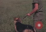 Immagine di 88 Corpo militare di polizia Il Vietnam, 1965, secondo 24 filmato di repertorio 65675061962