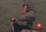 Immagine di 88 Corpo militare di polizia Il Vietnam, 1965, secondo 25 filmato di repertorio 65675061962