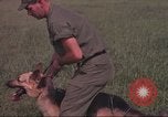 Immagine di 88 Corpo militare di polizia Il Vietnam, 1965, secondo 26 filmato di repertorio 65675061962