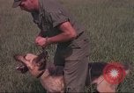 Immagine di 88 Corpo militare di polizia Il Vietnam, 1965, secondo 27 filmato di repertorio 65675061962