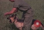 Immagine di 88 Corpo militare di polizia Il Vietnam, 1965, secondo 28 filmato di repertorio 65675061962