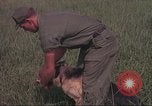Immagine di 88 Corpo militare di polizia Il Vietnam, 1965, secondo 30 filmato di repertorio 65675061962