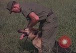 Immagine di 88 Corpo militare di polizia Il Vietnam, 1965, secondo 31 filmato di repertorio 65675061962