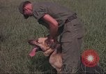Immagine di 88 Corpo militare di polizia Il Vietnam, 1965, secondo 32 filmato di repertorio 65675061962