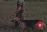 Immagine di 88 Corpo militare di polizia Il Vietnam, 1965, secondo 34 filmato di repertorio 65675061962
