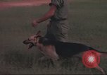 Immagine di 88 Corpo militare di polizia Il Vietnam, 1965, secondo 35 filmato di repertorio 65675061962