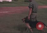 Immagine di 88 Corpo militare di polizia Il Vietnam, 1965, secondo 36 filmato di repertorio 65675061962
