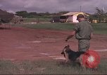 Immagine di 88 Corpo militare di polizia Il Vietnam, 1965, secondo 39 filmato di repertorio 65675061962