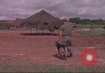 Immagine di 88 Corpo militare di polizia Il Vietnam, 1965, secondo 42 filmato di repertorio 65675061962