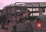 Image of 88th Military Police Corps Vietnam, 1965, second 25 stock footage video 65675061963