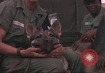 Image of 88th Military Police Corps Vietnam, 1965, second 31 stock footage video 65675061963