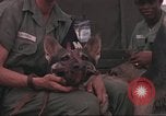 Image of 88th Military Police Corps Vietnam, 1965, second 32 stock footage video 65675061963