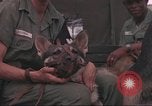 Image of 88th Military Police Corps Vietnam, 1965, second 34 stock footage video 65675061963