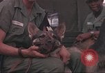 Image of 88th Military Police Corps Vietnam, 1965, second 37 stock footage video 65675061963