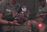 Image of 88th Military Police Corps Vietnam, 1965, second 38 stock footage video 65675061963