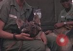 Image of 88th Military Police Corps Vietnam, 1965, second 39 stock footage video 65675061963