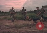 Image of 88th Military Police Corps Vietnam, 1965, second 10 stock footage video 65675061964