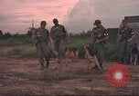 Image of 88th Military Police Corps Vietnam, 1965, second 12 stock footage video 65675061964