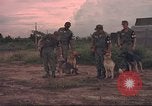 Image of 88th Military Police Corps Vietnam, 1965, second 17 stock footage video 65675061964
