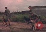 Image of 88th Military Police Corps Vietnam, 1965, second 60 stock footage video 65675061964